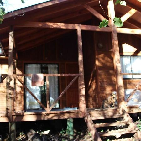 Cabana Bosque Viejo Villa Las Trancas Dış mekan fotoğraf