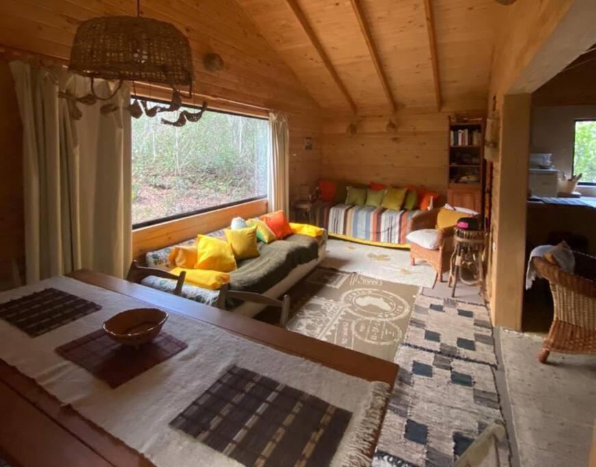 Cabana Bosque Viejo Villa Las Trancas Dış mekan fotoğraf