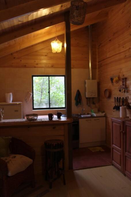 Cabana Bosque Viejo Villa Las Trancas Dış mekan fotoğraf