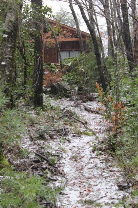 Cabana Bosque Viejo Villa Las Trancas Dış mekan fotoğraf