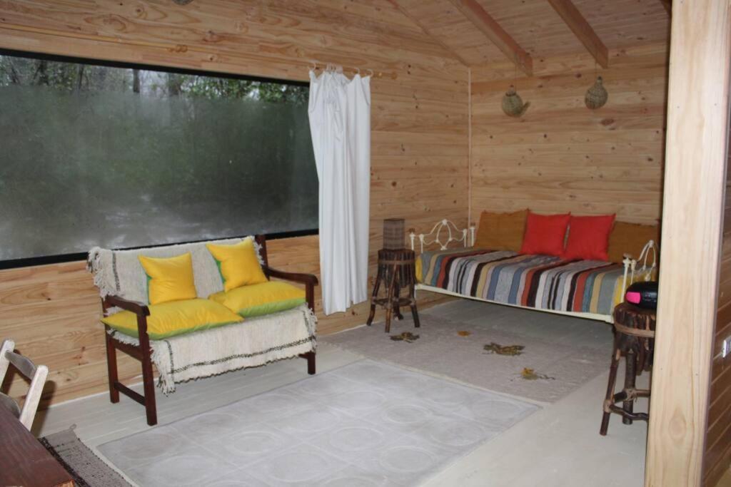 Cabana Bosque Viejo Villa Las Trancas Dış mekan fotoğraf
