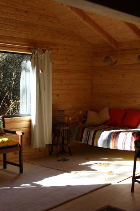 Cabana Bosque Viejo Villa Las Trancas Dış mekan fotoğraf
