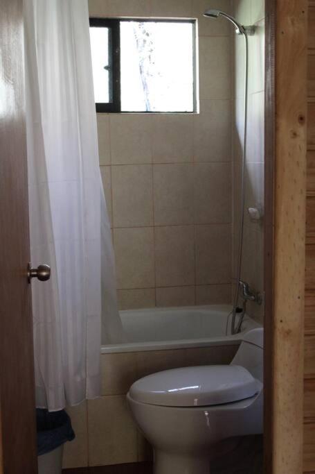 Cabana Bosque Viejo Villa Las Trancas Dış mekan fotoğraf