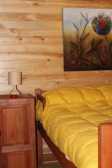 Cabana Bosque Viejo Villa Las Trancas Dış mekan fotoğraf
