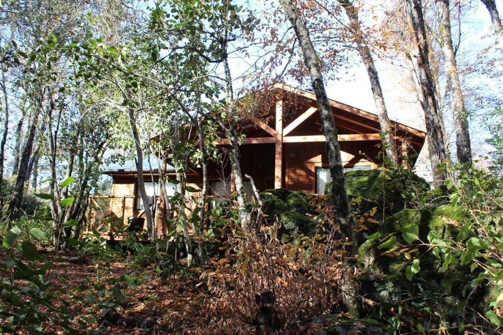 Cabana Bosque Viejo Villa Las Trancas Dış mekan fotoğraf