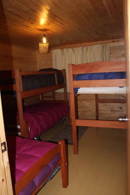 Cabana Bosque Viejo Villa Las Trancas Dış mekan fotoğraf